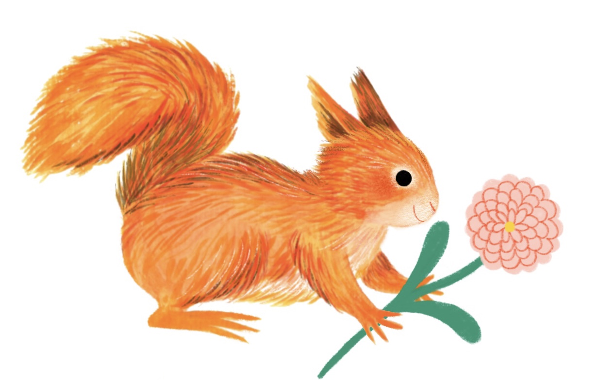 A gouache drawing of a cute furry orange squirrel holding a flower
